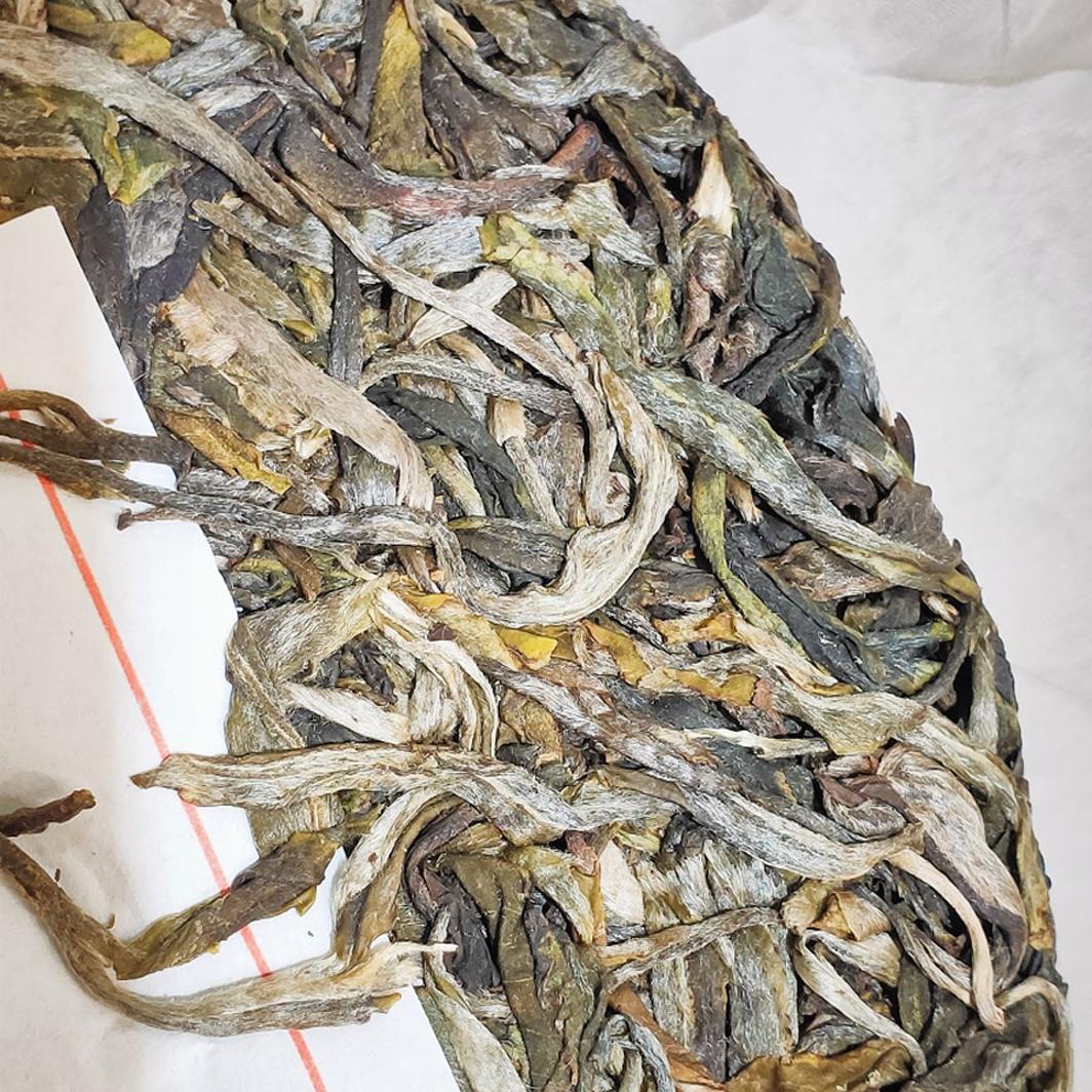 广成有道雅韵高档古树生普旗舰自营云南饼茶普洱茶生茶送礼花果香