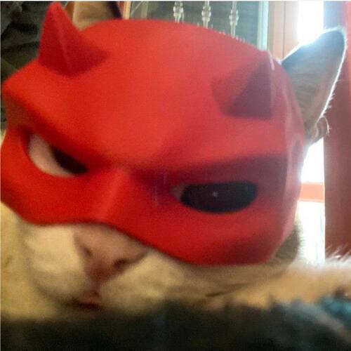 TK新款Bat Cat Avenger Mask蝙蝠猫恶魔复仇者面具猫咪面具宠物