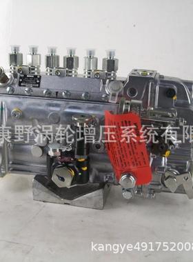 喷油泵F0024AZR80和F002A0Z267和101609-3640 101062-9310