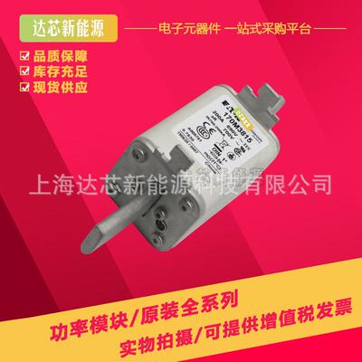 170M3965 170M3966 170M3967 170M3968 170M3969 170M3970熔断器