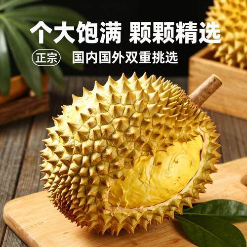 进口AAA果泰国金枕榴莲肉