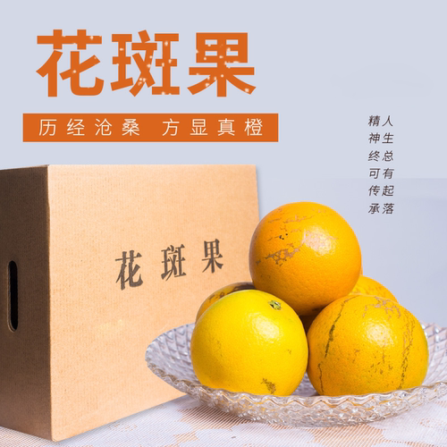 2025正品云南褚小斑褚橙冰糖橙