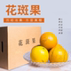 2025季 褚小斑褚氏橙庄园花斑果哀牢山纯甜水果冰糖橙高糖老树橙
