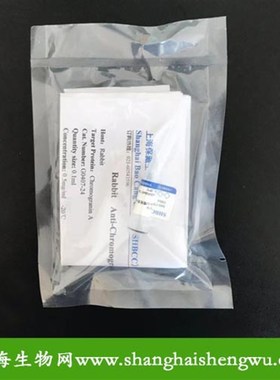 一抗 BDNF 兔多抗 100uyl  SHBCC G30915 包邮