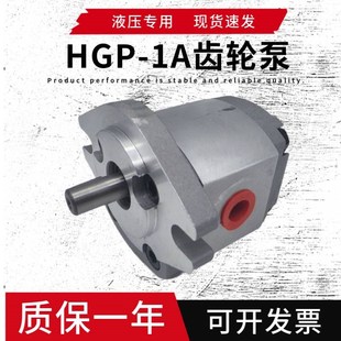 新款 F19R油泵F8 液压齿轮泵高压HhGP