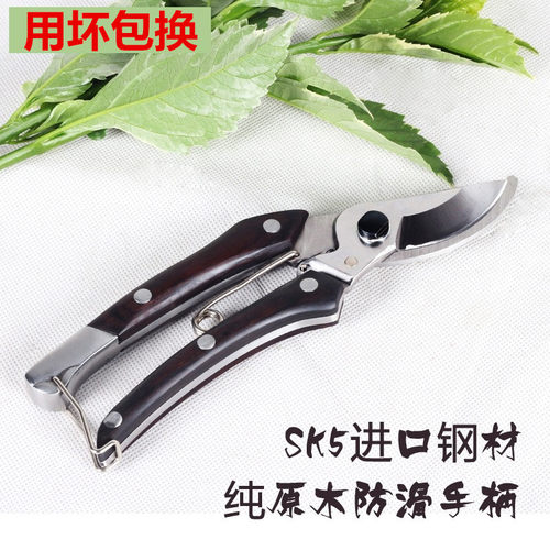 进口名钻高档剪刀修枝剪花剪果树剪子园艺剪刀园林绿化工具