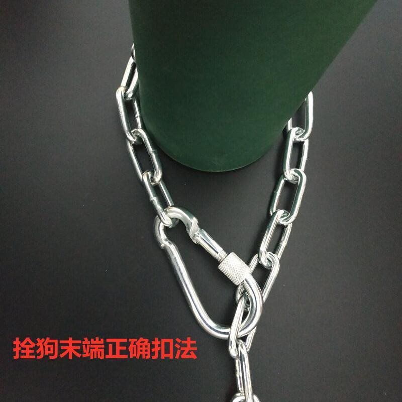 狗链子不锈钢牵引绳大型犬德牧马犬金毛小型犬条咬拴狗铁链遛狗链