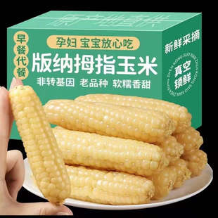 云南版纳拇指玉米香糯小玉米傣家甜黏手指玉米宝宝小玉米软糯香甜