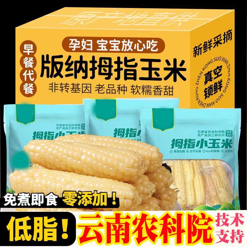 云南西双版纳拇指玉米