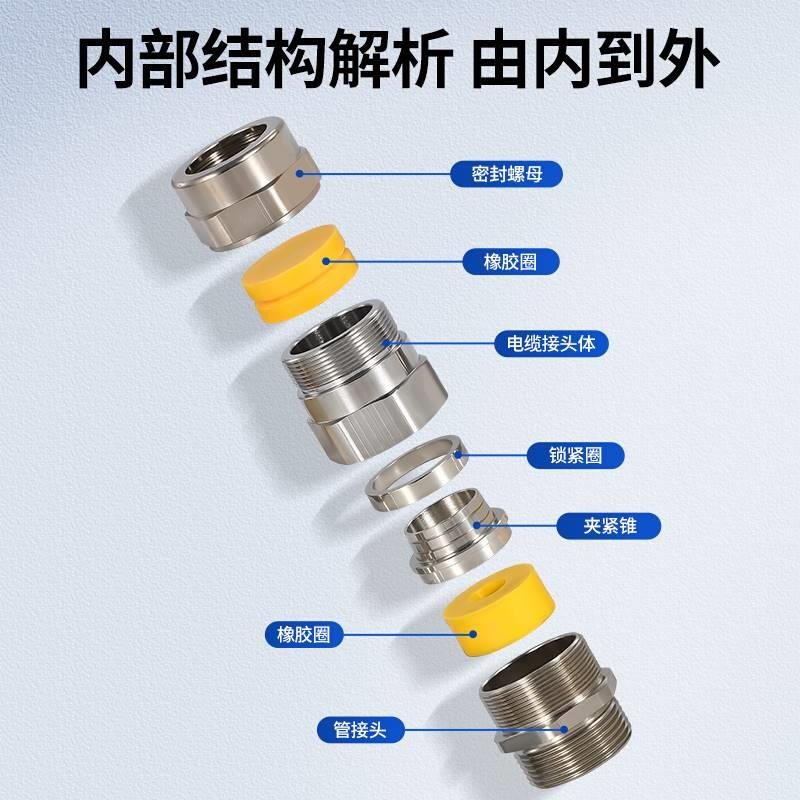 黄铜镀镍铠装防爆格金属夹紧密头填兰料函不锈钢双WMD密封封接