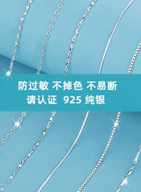 925纯银项链女小众设计轻奢高级感链条2025新款爆夏日配饰锁骨链