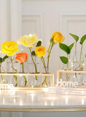 北欧风个性创意绿萝水培玻璃插花小花瓶办公室房间客厅装饰品摆件