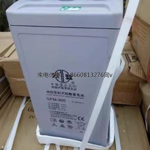 双登蓄电池GFM2V100AH200AH300AH500AH1000AH电厂直Z流屏储能通讯