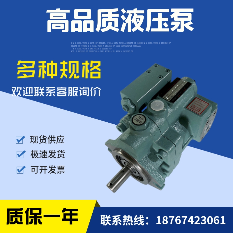 台湾柱塞泵P08/P1l6/P22/P36-A0/A1/A2/A3-F-R-01液压油泵