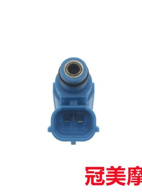 适用于骊驰GW250 SF250s GSX250R DL250喷油嘴 电喷节气门喷油器