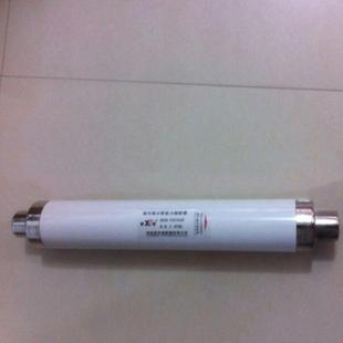 80A 高压高分断能力熔断器WFMDJ 12KVWFLDJ 7.2KVXRNT76X510 100A