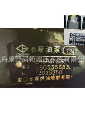 喷油泵1247 13025250和13055571 12032和6PW727 13038052
