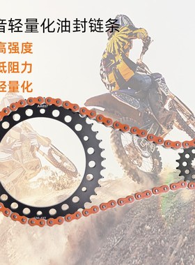 摩托车炼轮适用凯旋T5o95/509 955 1050牙盘大小齿油封炼条套炼