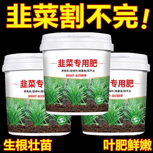 韭菜专用肥料大葱姜蒜苗复合蔬菜农用种菜家庭盆栽通用水溶化肥料