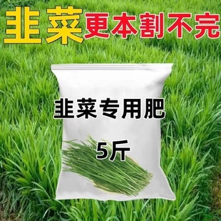韭菜专用肥料有机肥化肥蔬菜花卉盆栽绿植物种菜通用肥料 清仓