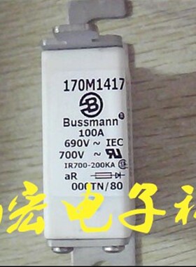 原装 快速熔断器170M4966 快速熔断器170LM4981拍先咨询库存价格