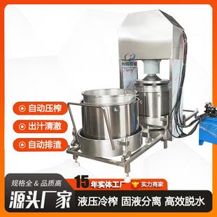山里红山楂汁榨取过滤机蓝莓去皮榨取果汁榨汁机冰杨梅压榨机