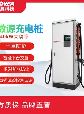 数源科技定制240kW直流新能源电动汽车快速充电桩充电站运营充电