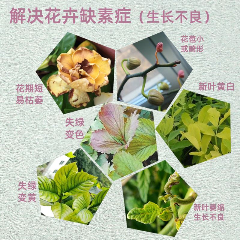 绿植花卉肥料营养液微量元素缺素家庭园艺叶面黄叶矮小盆栽补铁