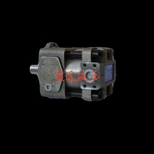 QT63 100FS 100FS液压齿轮泵内啮合液压伺服油泵QTU63