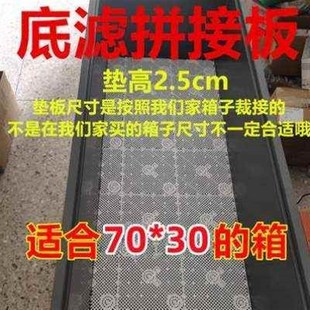 塑料塑料箱d滤板缸垫网龟垫养龟隔板底板箱底锦鲤周转箱鱼缸过滤