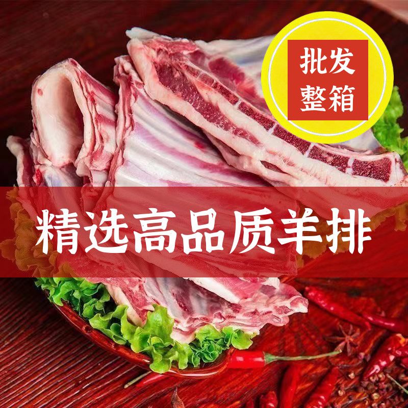 新鲜清真羊排尖羊肉内蒙煲汤原切无拼接肥瘦相间羊排现切鲜羊肉L