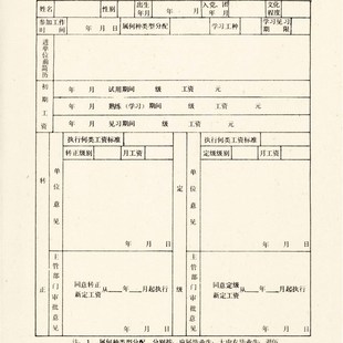 新品老纸老旧档案表格o旧工资表转正定级审批表50克杂点浅蜂窝纹