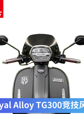 适用于RA TG300改装前挡风mini竞技小风挡护T胸战斗款挡风玻璃