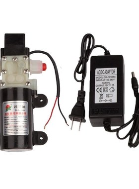 增压泵普兰迪PLjD-2201直流隔膜泵自吸水泵24V高压微型循环泵交流