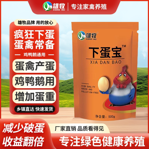 下蛋宝鸡用蛋多多增蛋宝