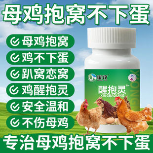 醒抱灵母鸡催醒不抱窝鸡鸭鹅鸽禽抱窝恋窝趴窝孵蛋养殖饲料添加剂