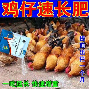 禽速肥一吃就长鸡鸭鹅鸽子通用催肥生长素禽用催肥饲料厂家批发
