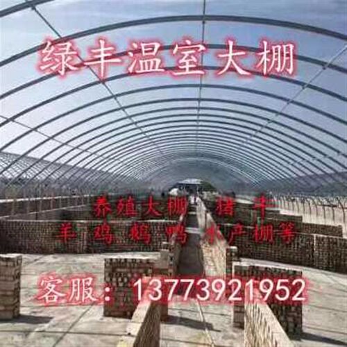 爆品厂促全套棚钢管棚猪圈养大椭圆猪舍养鸡场保温鹅管P大养殖品