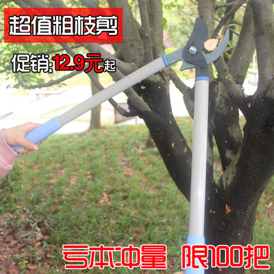果树修剪树枝剪刀 园林园艺剪刀修枝剪 树剪子粗枝剪大力剪