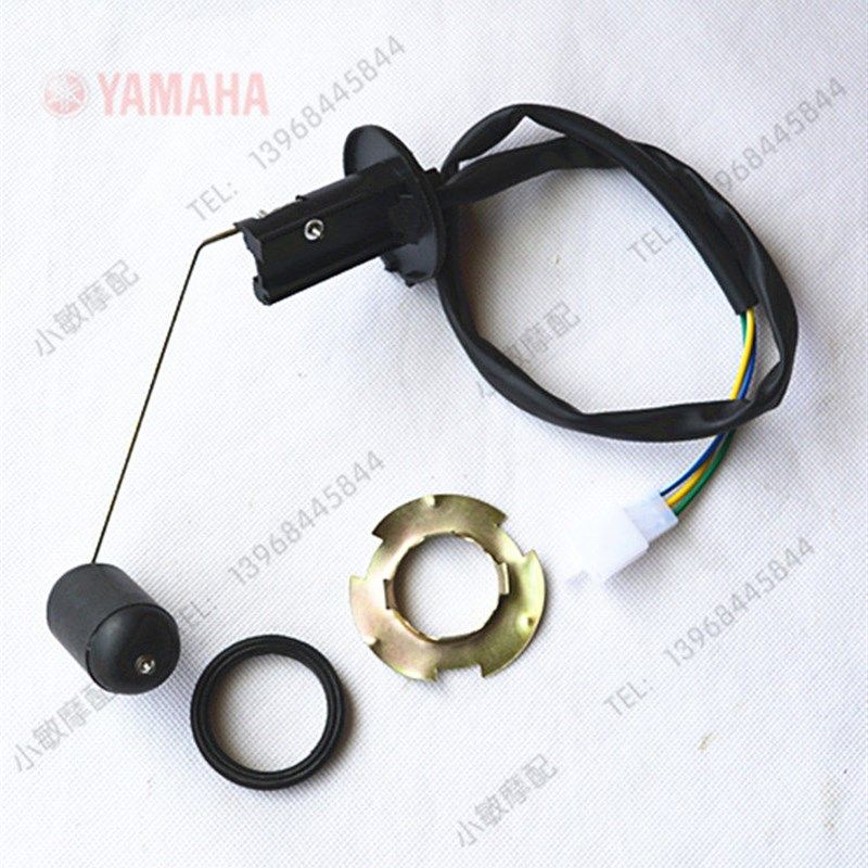 摩托车配件飞鹰鬼火RSZ助力车仪表传感器三阳鬼火后置油箱油浮子