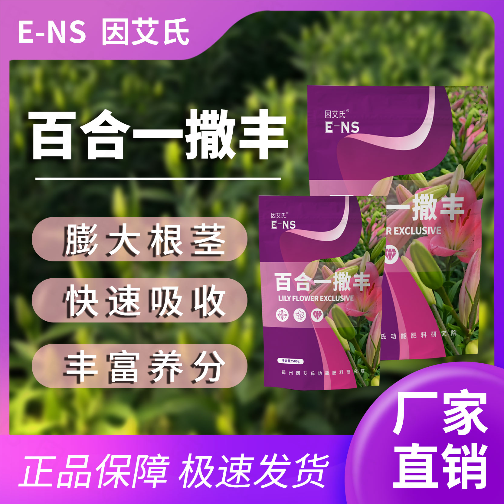 因艾氏百合一撒丰百合种植专用快速吸收调理土壤促进生根壮苗装品