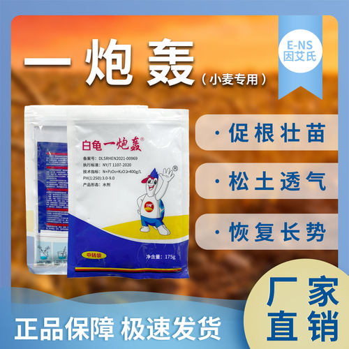 因艾氏白龟一炮轰小麦种植专用促根壮苗松土透气恢复长势微生物肥