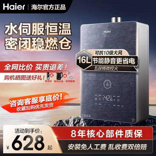 Haier Gas Watereeverter 13/13/16 литр L Дом купается природное газ постоянное температура Официальный флагман