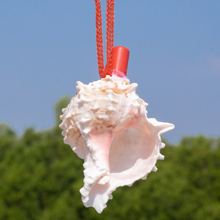 天然海螺号贝壳工艺饰品小螺号口哨号角带绳儿童礼品玩具送幼儿园