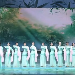 演出服 采薇水袖 .汉唐中国风 古典舞新款 极速2025春晚踏春舞蹈服装