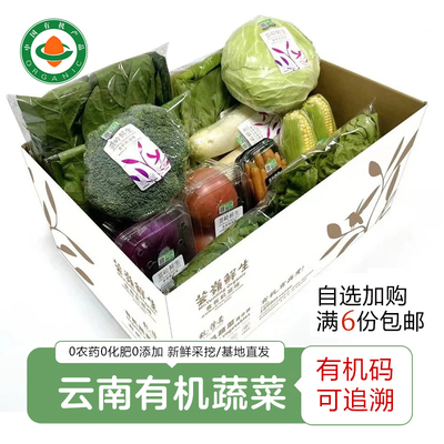 云南新鲜有机蔬菜 高原自然熟番茄有机菜青菜蔬菜沙拉配送6份包邮