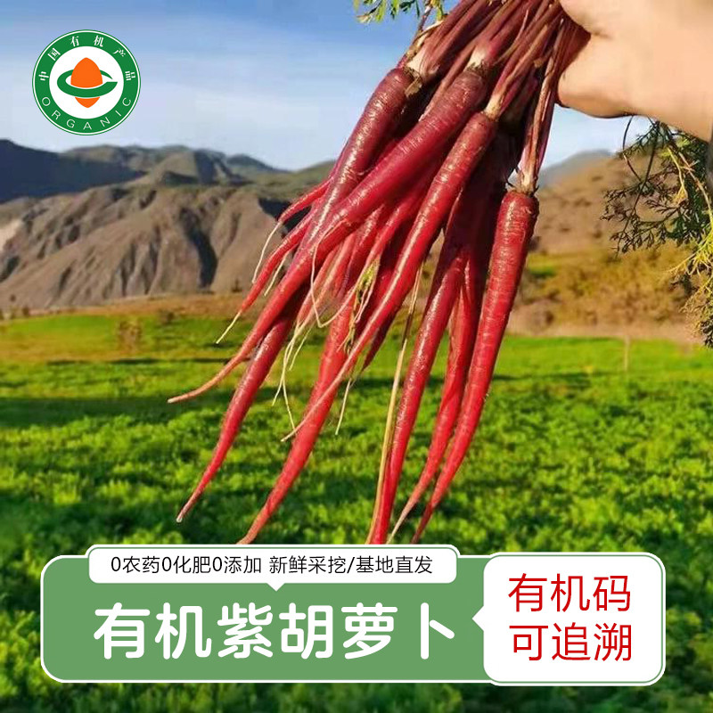 云南有机手指胡萝卜3斤 露天种植非转基因即食水果小胡萝卜/带泥