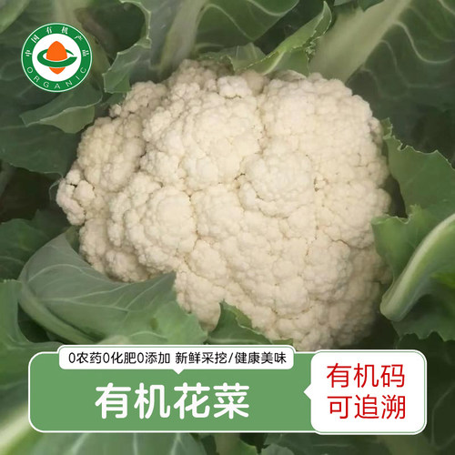 有机花菜3斤 新鲜蔬菜有机菜花椰菜白花菜
