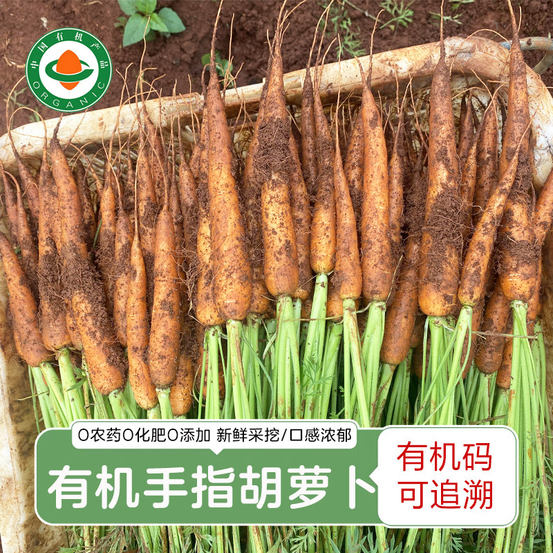 云南有机手指胡萝卜4斤 露天种植非转基因即食水果小胡萝卜/带泥