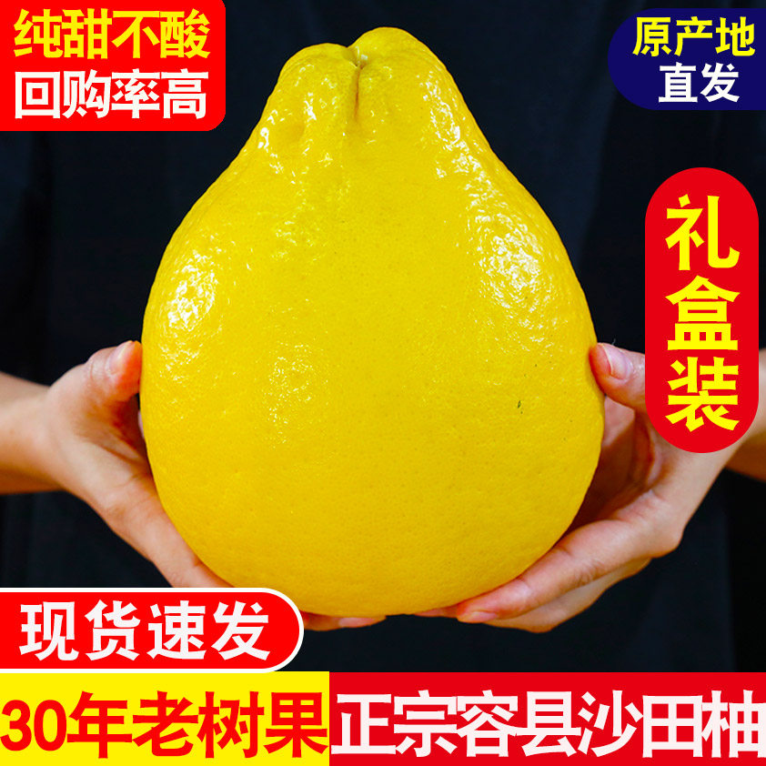 正宗广西容县柚子沙田柚大果正宗新鲜白心柚蜜柚当季孕妇水果包邮